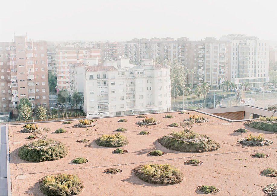 Парк, сад та зелений дах в Дехесі, Іспанія