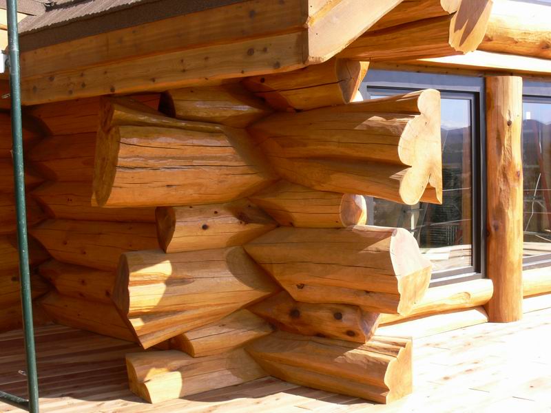 Выбор бревен для строительства деревянного дома