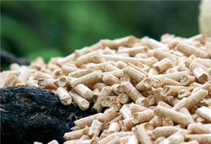 Переработка древесных отходов на пеллеты: экологичный подход к бизнесу