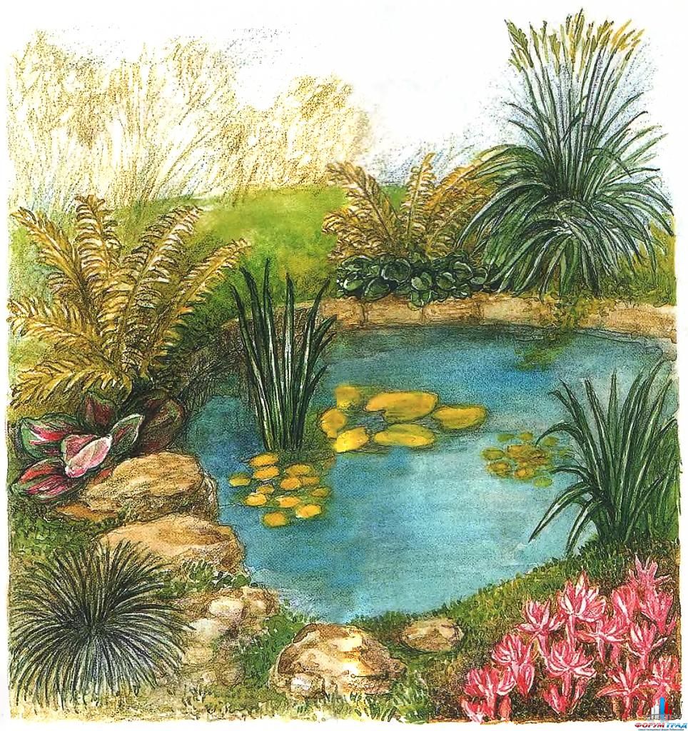 decorating-pond-plants-05.jpg