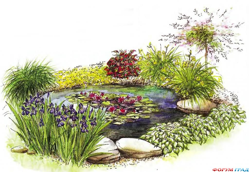 decorating-pond-plants-16.jpg