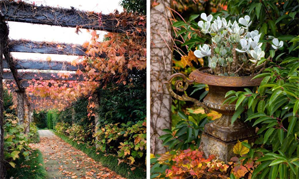 dizain-sada-v-romantichnnom-stile8.jpg