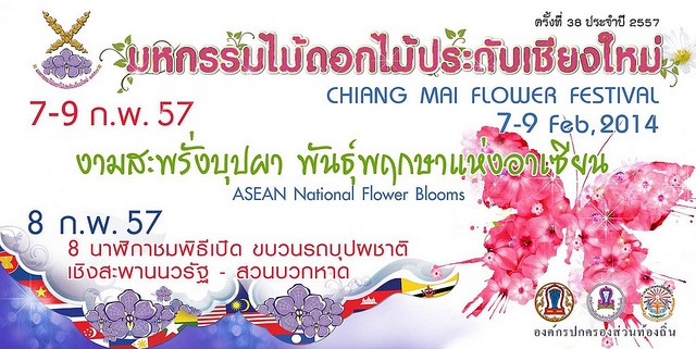 festival_kvitiv_v_chiangmai_2014_tailand.jpg