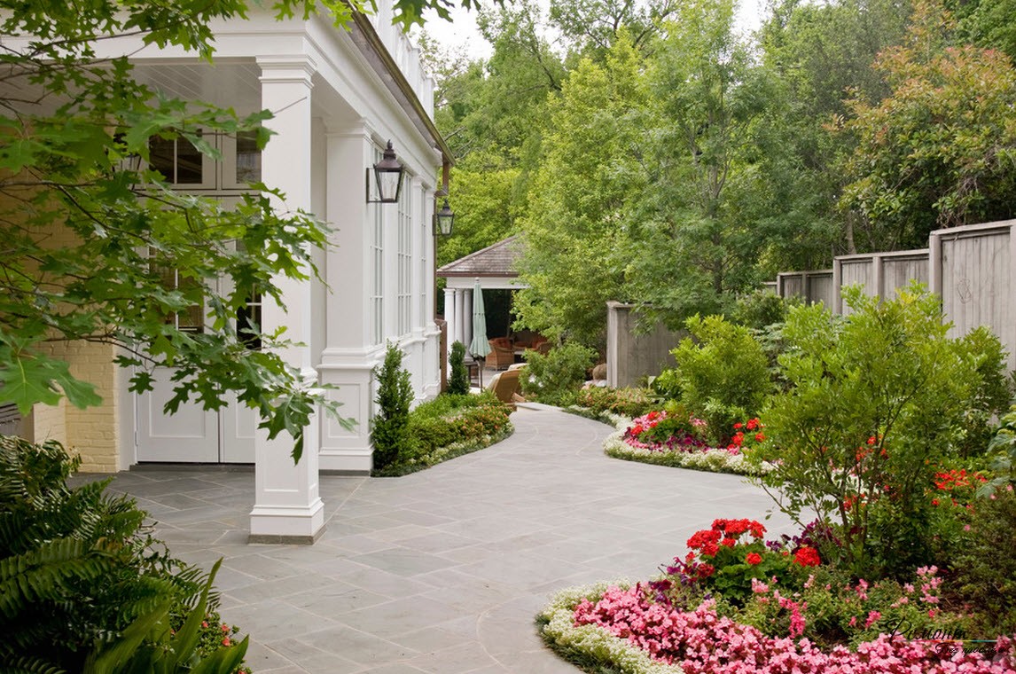 Дома около сад дедушки. Кеннеди Макрэ ландшафтный дизайнер. Сад перед домом. Красивый сад перед домом. Деревья перед домом.