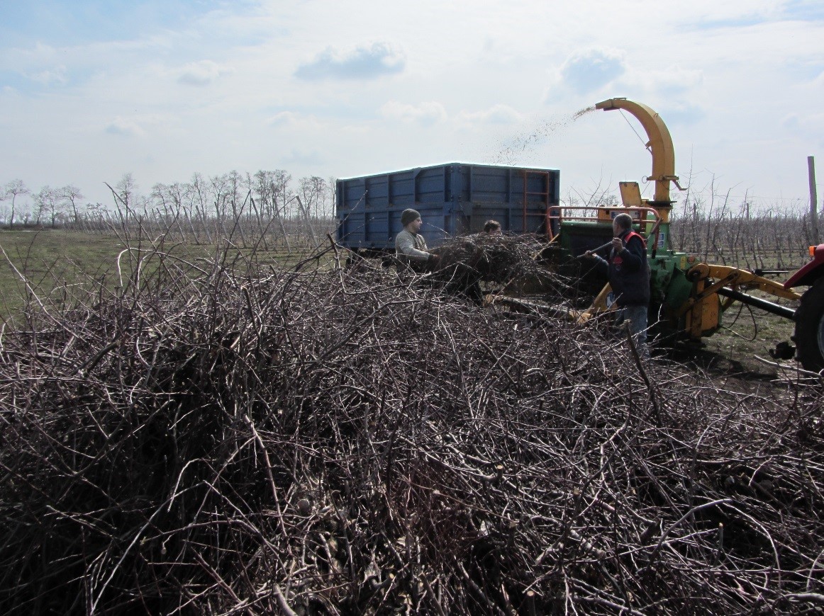 demo-bioenergy-zaporizhia-2.jpg