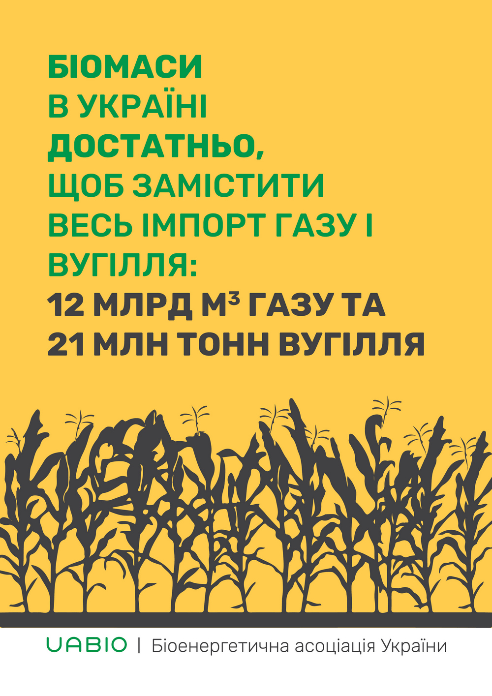 ukrainian-bioenergy-day-campaign-4__.jpg