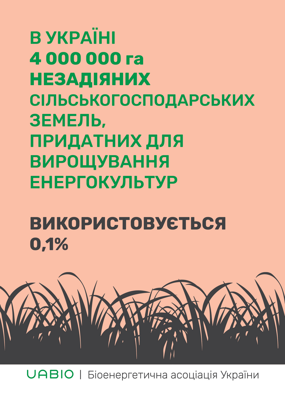 ukrainian-bioenergy-day-campaign-5__.jpg