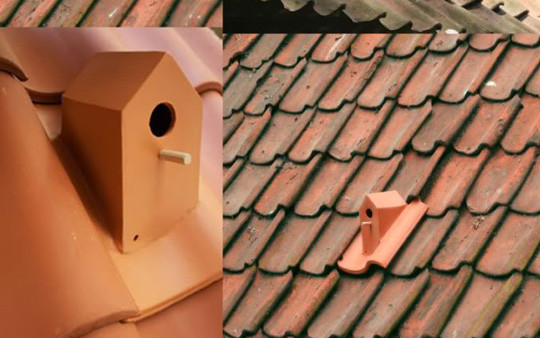 bird-house-roof-tiles-by-klaas-kuiken.jpg