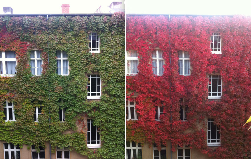 same-place-different-season-before-after-4.jpg