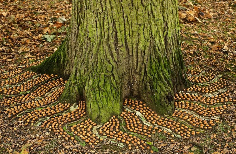 cd67026-james-brunt-natural-materials-land-art-england13-5a7d9591292b7--880.jpg