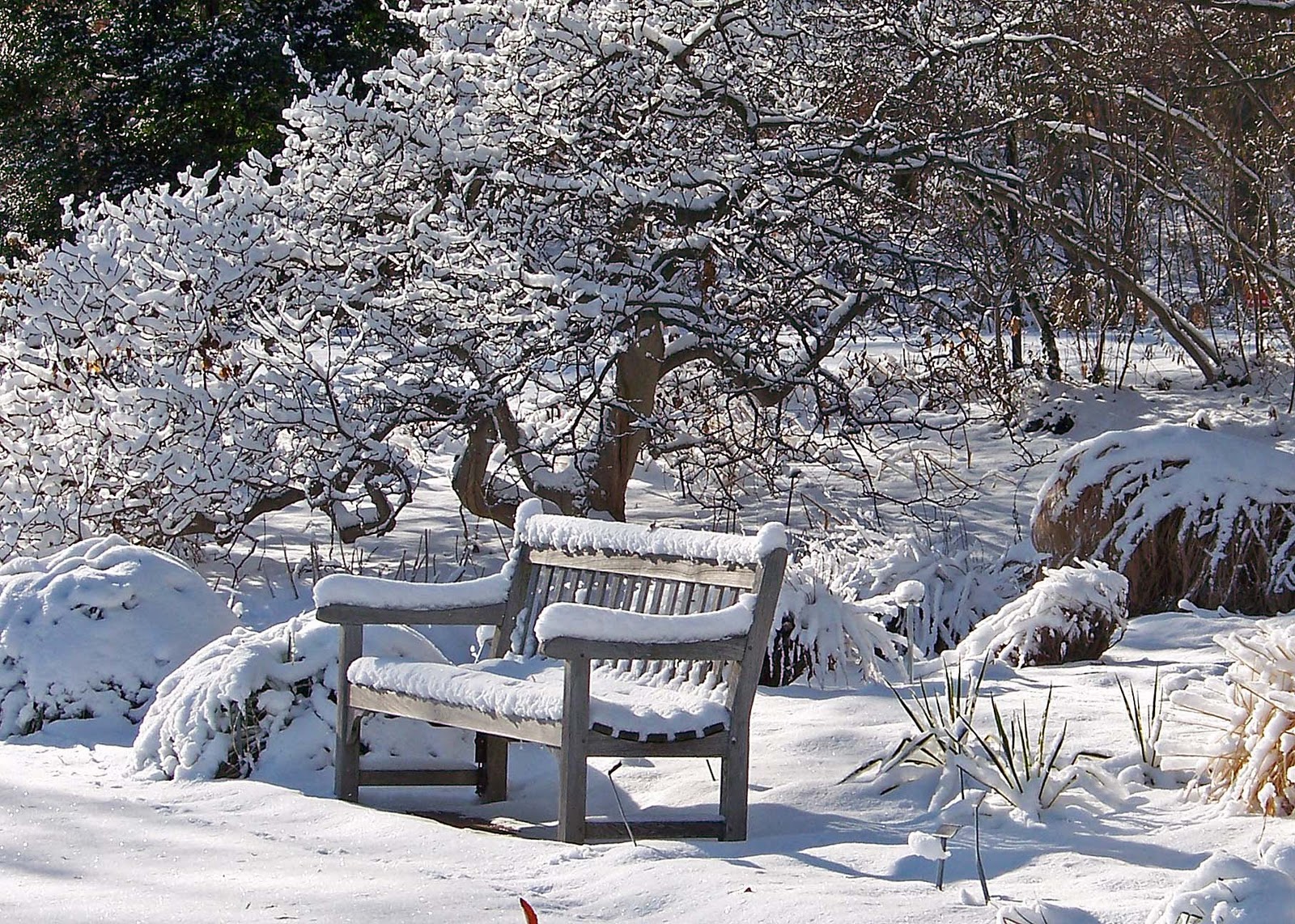 winter-bench-mid.jpg